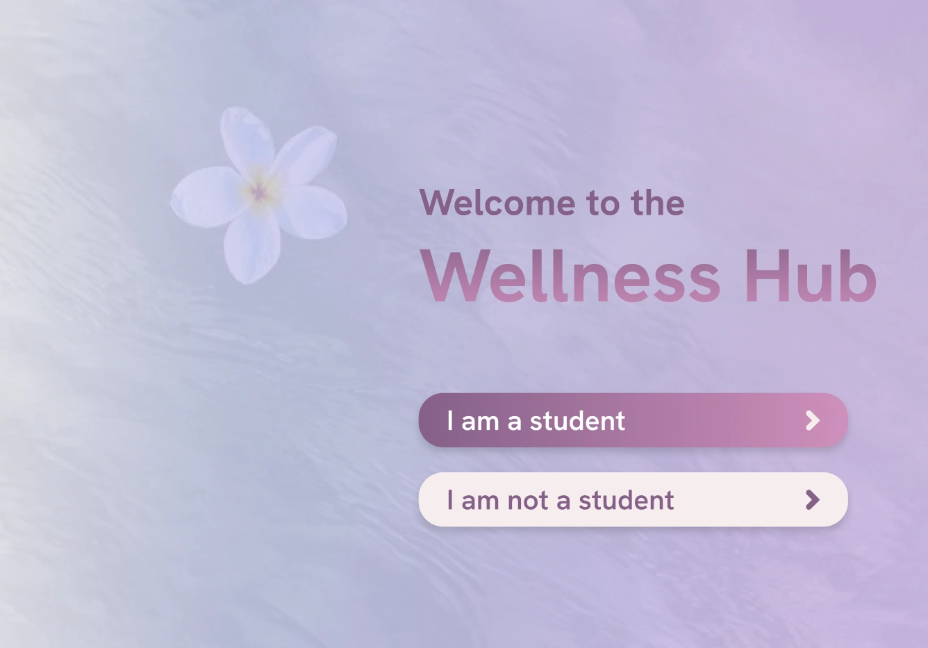 Welcome · lavender concept